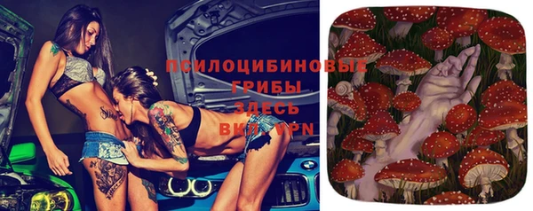 круглые Козловка