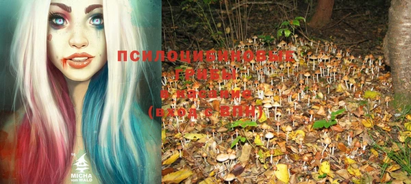 круглые Козловка