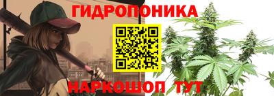 2c-b Аргун