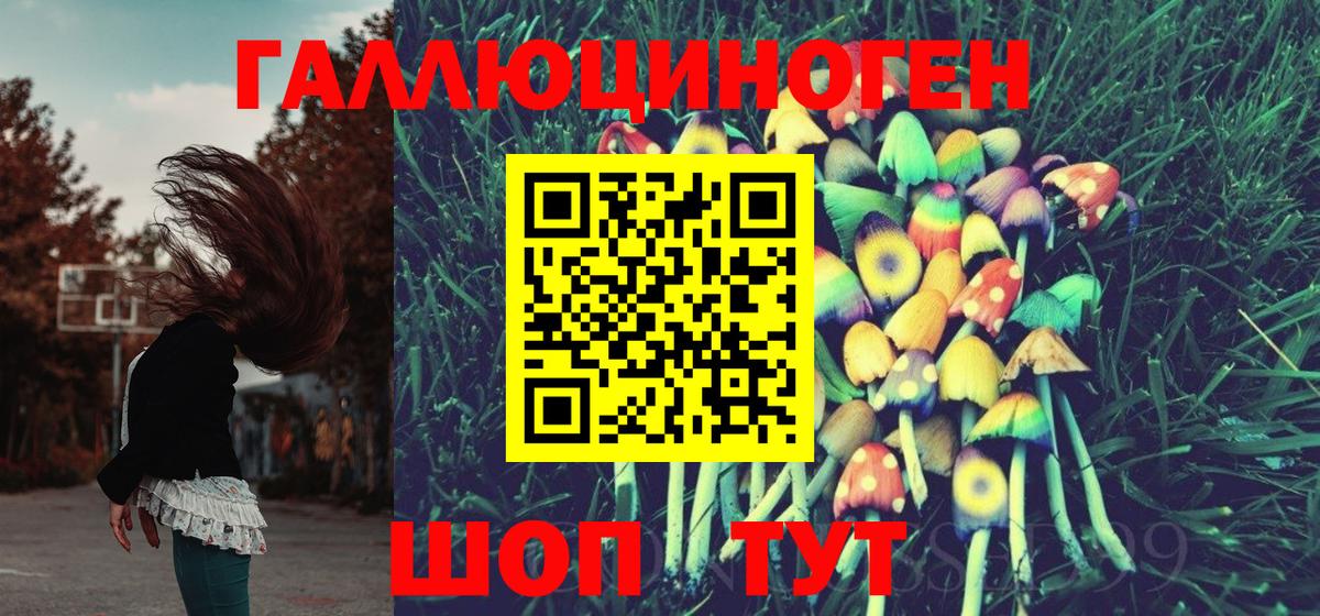 Галлюциногенные грибы GOLDEN TEACHER Ачинск