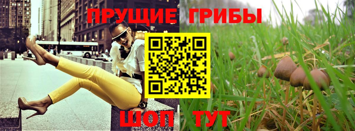 Псилоцибиновые грибы Magic Shrooms  Ачинск 